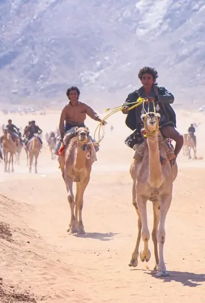 اخبار اليمن الان اختتام لمهرجان لسباقات وتتويج المطهري اخبار اليمن الان الحدث اليوم عاجل