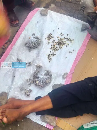 اخبار اليمن الان انتشار غريبة لعلاج الجهات الحكومية اخبار اليمن الان الحدث اليوم عاجل