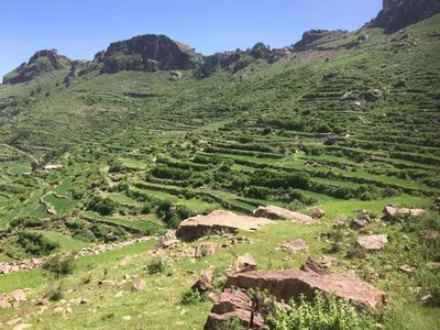 اخبار اليمن الان جماعة الح تقتحم دار القرآن اخبار اليمن الان الحدث اليوم عاجل