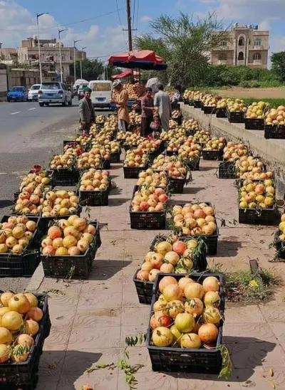 اخبار اليمن الان الحدث اليوم عاجل 