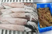 صدى الساحل اخبار اليمن الان الاستنزاف الشروخ الصخري وإغلاق اليمنية اخبار اليمن الان الحدث اليوم عاجل صدى الساحل