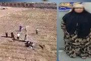 صحيفة المرصد اخبار اليمن الان محاولة فاشلة إجابات الامتحان اللجنة اخبار اليمن الان الحدث اليوم عاجل صحيفة المرصد
