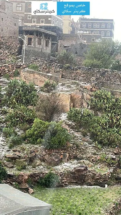 اخبار اليمن الان الحدث اليوم عاجل 