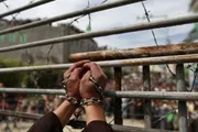 اخبار اليمن الان الحدث اليوم عاجل وكالة الصحافة اليمنية