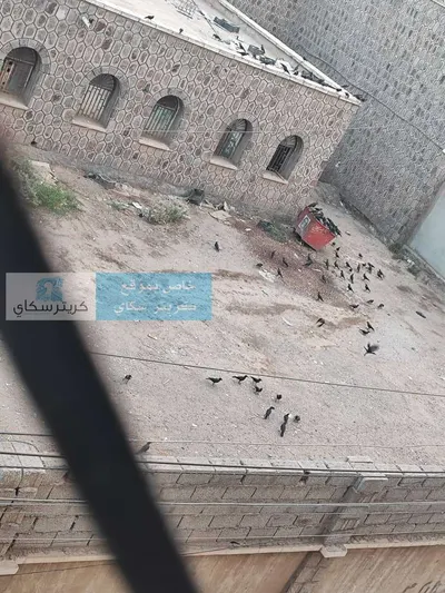 اخبار اليمن الان الحدث اليوم عاجل 