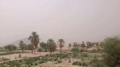اخبار اليمن الان بيحان وأمطار متوقعة منتصف الأسبوع اخبار اليمن الان الحدث اليوم عاجل