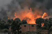 عرب تايم اخبار اليمن الان حرائق الجزائر والحماية المدنية السكان اخبار اليمن الان الحدث اليوم عاجل عرب تايم
